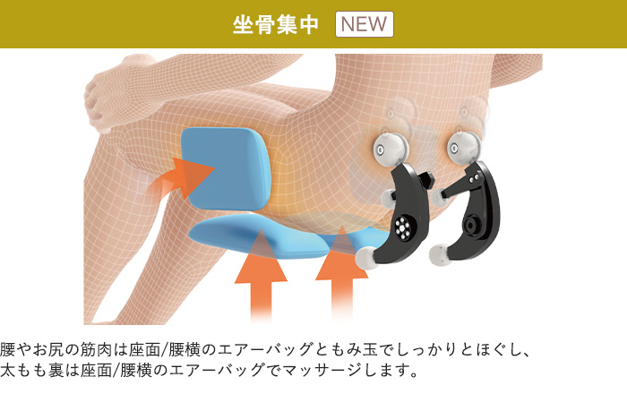 フジ医療器 マッサージチェア AS-R610 坐骨集中